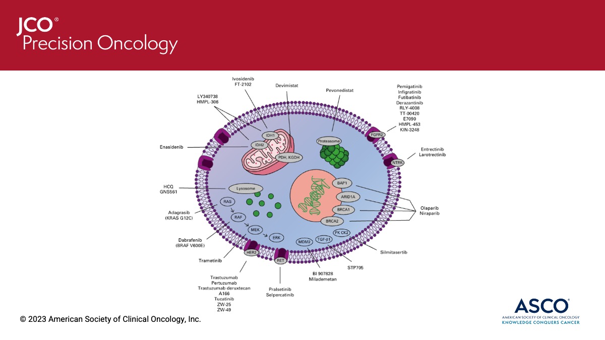 This #JCOPO review articles summarizes recent advances in precision medicine & #immunotherapy that are likely to reshape the treatment landscape for #cholangiocarcinoma in the coming years: 
➡️ fal.cn/3yGY3 #ImmunoOnc