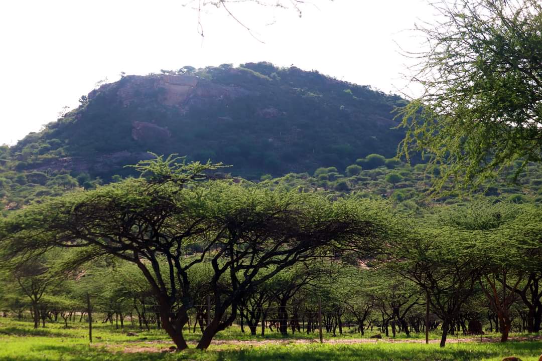Location