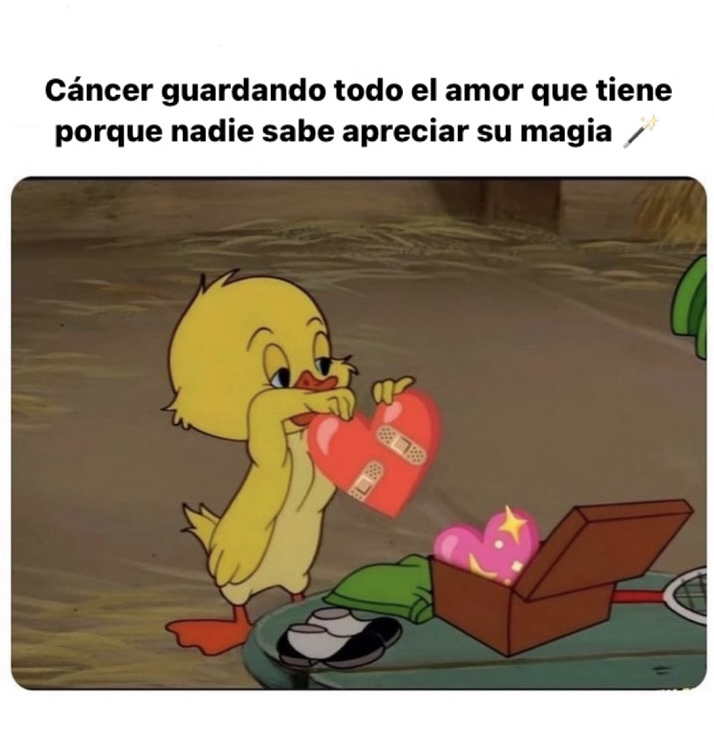▲CÁNCER▲ tweet media