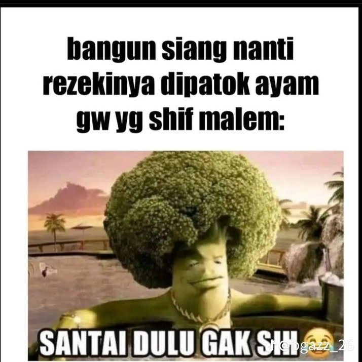 elfite's tweet image. 