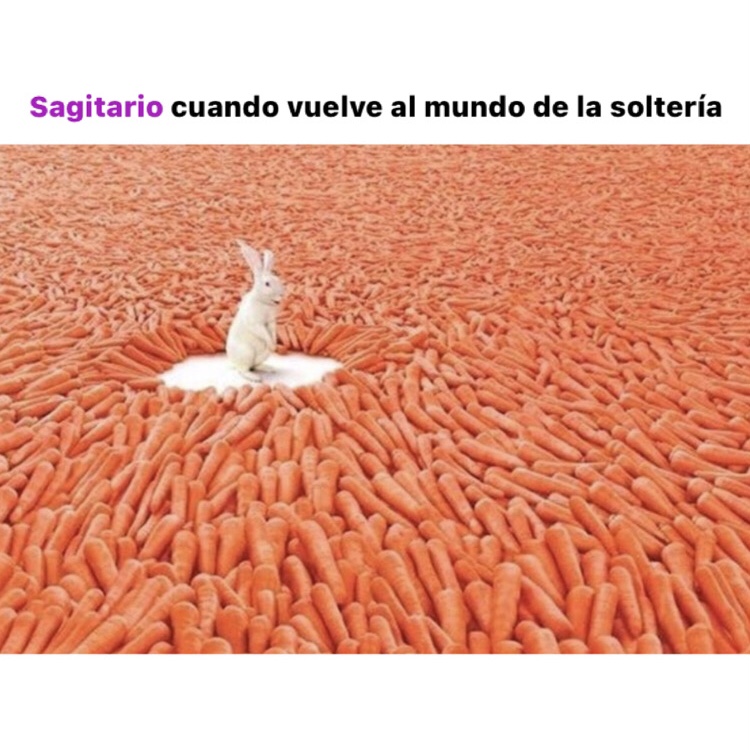 sagitario_hn's tweet photo. 🤣🤣🤣 #sagitario #horoscoponegro https://t.co/UfWSuCH1GY
