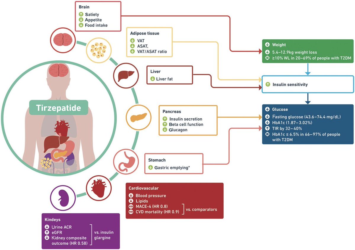 Great paper summarizing the MOA and SURPASS trial results of #tirzepatide #Mounjaro by @ri_tis and co! #Endocrine #obesity #diabetes #endotwitter pubmed.ncbi.nlm.nih.gov/36750526/