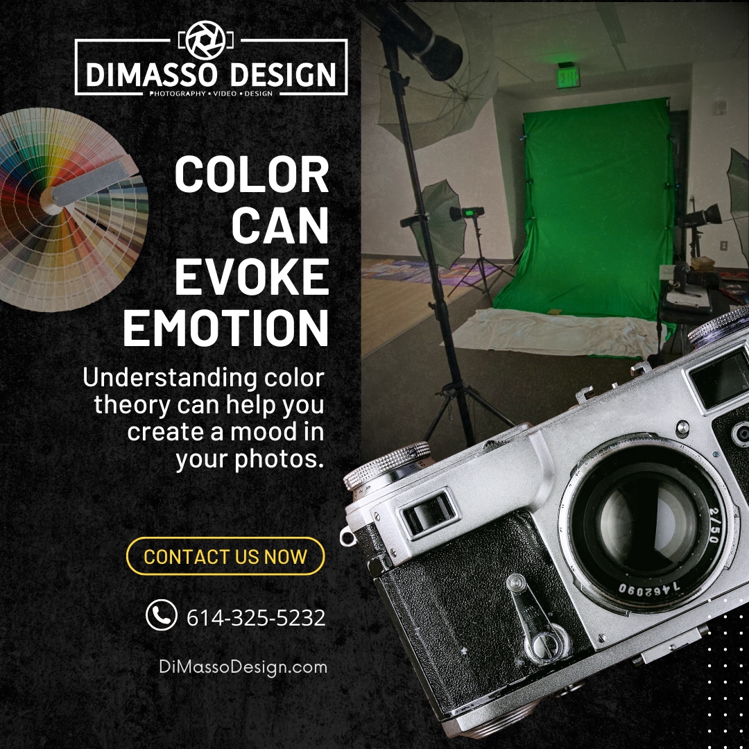 DiMasso Design tweet media