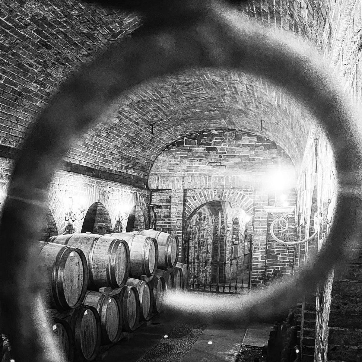 Thanks Marco Gallo for capturing, with this beautiful shot, a corner of our cellar 😍
We wait for you❗️❗️🍷

#cascinachicco #cellar #visit #winetastings #winepairing #Roero #UNESCO #Langhe #experience #photooftheday #picoftheday #instamoment #blackandwhite