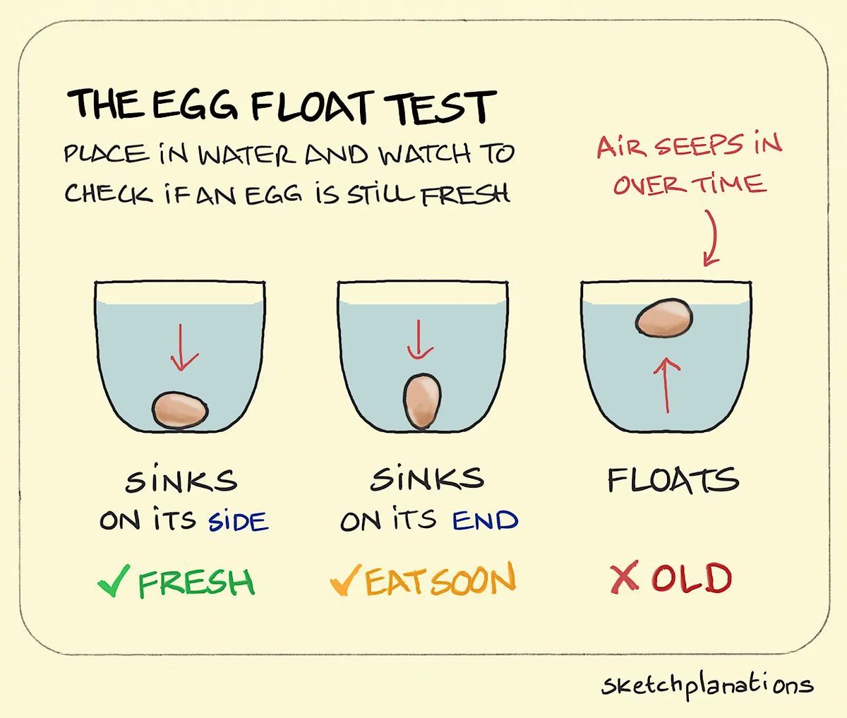 The Egg Float Test