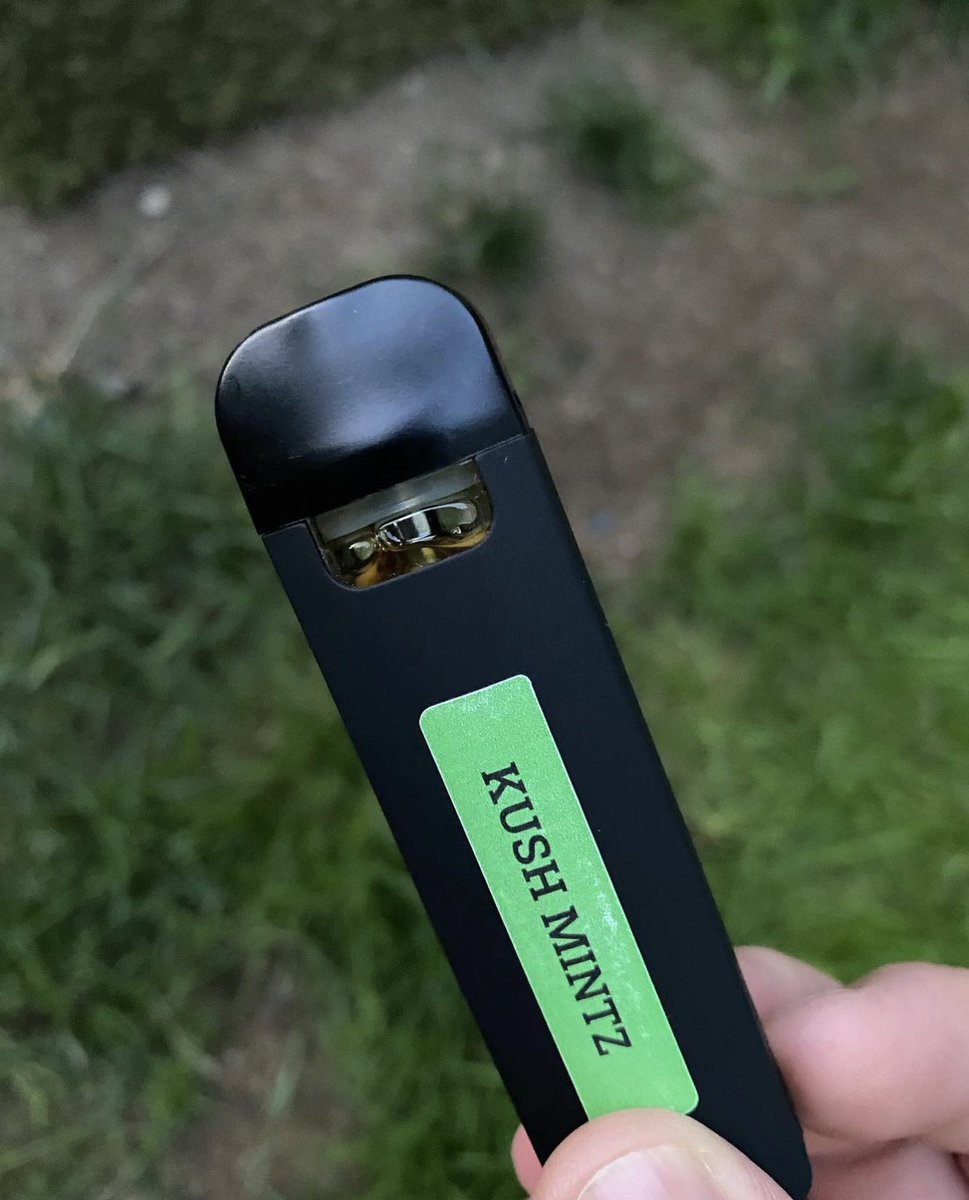 Perfect for on the go terps this summer 😎💨

Ask for Skunk Processors at your favorite WA dispensaries!

#i502 #Recreational #LegalWeed #Solventless #Rosin #HashRosin #KushMintz #Vape #FireInFireOut #Washington #CannabisCommunity
