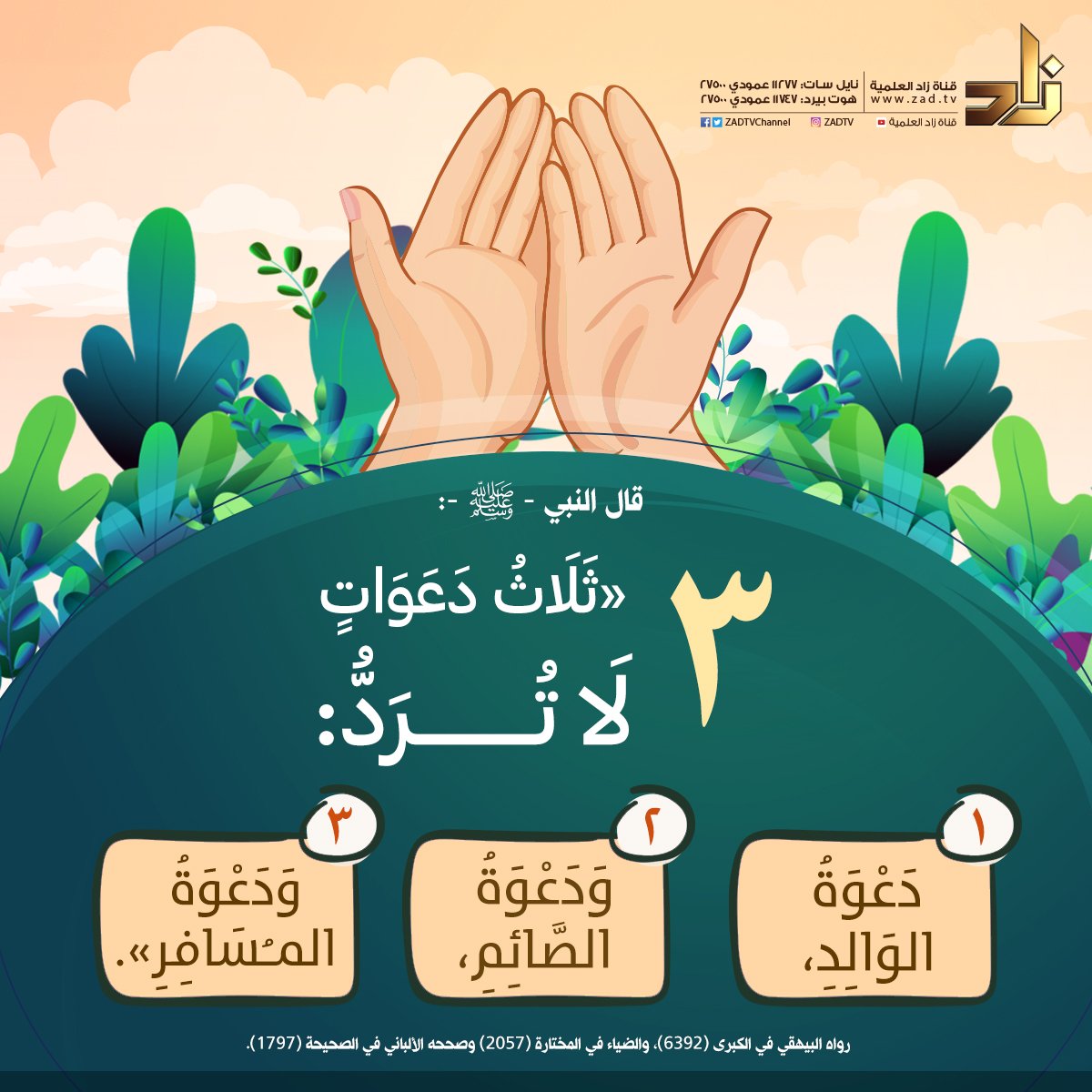 zadtvchannel's tweet image. ثلاث دعواتٍ لا تُرد 🤲
 #قناة_زاد الفضائية 📡