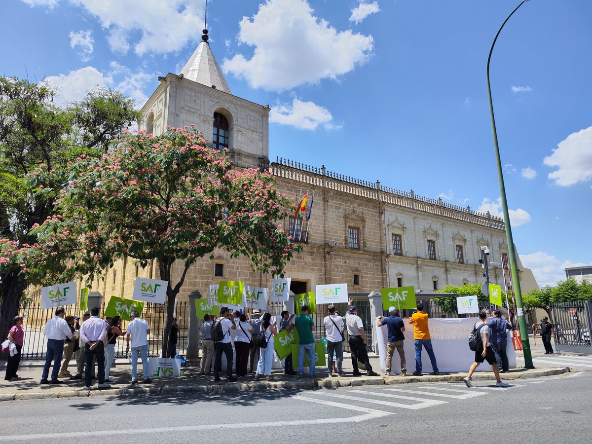 Saf_Andalucia's tweet photo. 📢📢📢Comienza la sesión plenaria sobre la Ley Función Pública de Andalucía.

@Saf_Andalucia está donde hay que estar: en la calle protestando✊ https://t.co/DLRCuPXxoW
