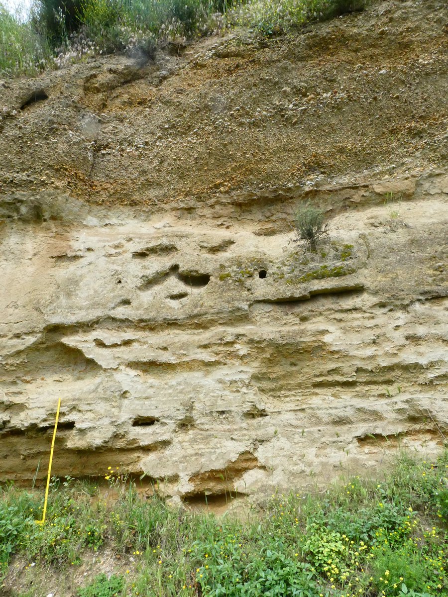 Candela Martinez Martinez tweet media