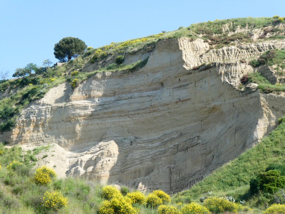 Candela Martinez Martinez tweet media