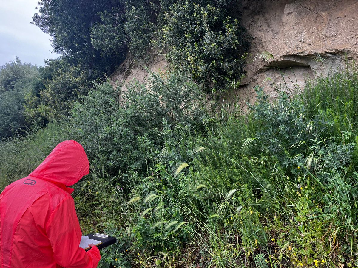 Candela Martinez Martinez (@candemartimarti) on Twitter photo Back from a fantastic month of fieldwork in the Crati Basin #Italy doing sedimentological characterisation of fault-controlled systems. Thanks to <a href="/brit_seds/">BSRG</a> and <a href="/RHULDocSchool/">RHULDoctoralSchool</a> for the awards <a href="/CSI_RHUL/">Clastic Sedimentology Investigation</a> <a href="/RHULEarthSci/">RHUL Earth Sciences</a>. Back from a fantastic month of fieldwork in the Crati Basin #Italy doing sedimentological characterisation of fault-controlled systems. Thanks to <a href="/brit_seds/">BSRG</a> and <a href="/RHULDocSchool/">RHULDoctoralSchool</a> for the awards <a href="/CSI_RHUL/">Clastic Sedimentology Investigation</a> <a href="/RHULEarthSci/">RHUL Earth Sciences</a>.