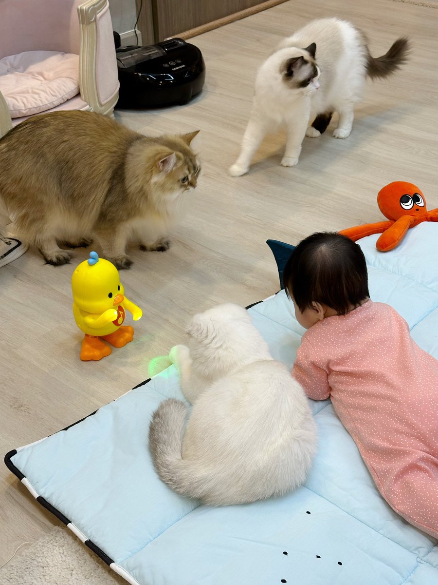 แบ่งๆกันเล่นนะคะคนเก่ง