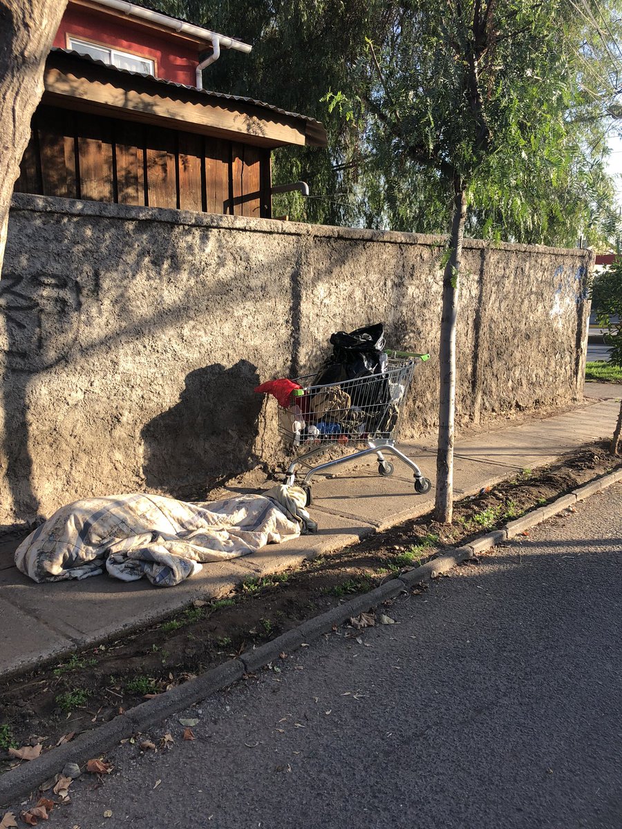 Macarena S. tweet media