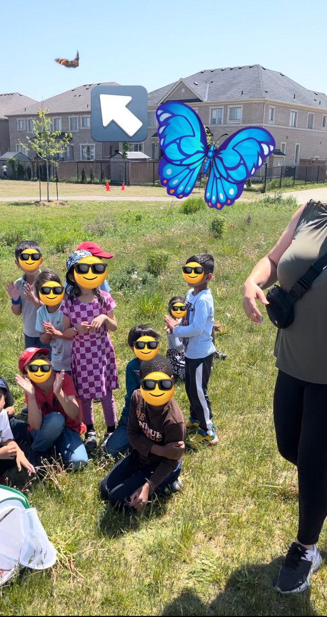 K5 released their butterflies earlier this week! The class cheered them on as they flew away 🦋 @DesmondHDSB