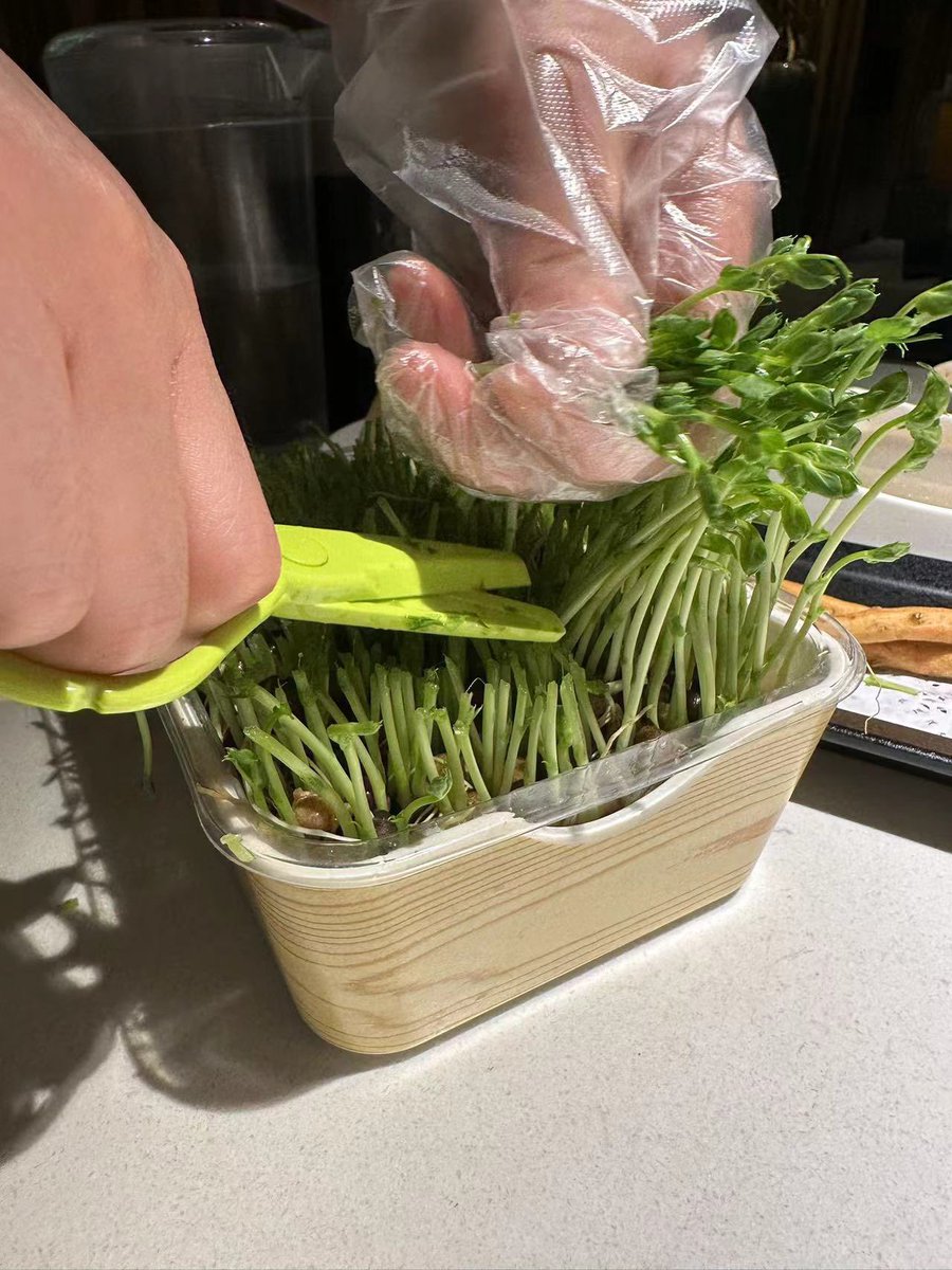 像不像割散户啊🥹