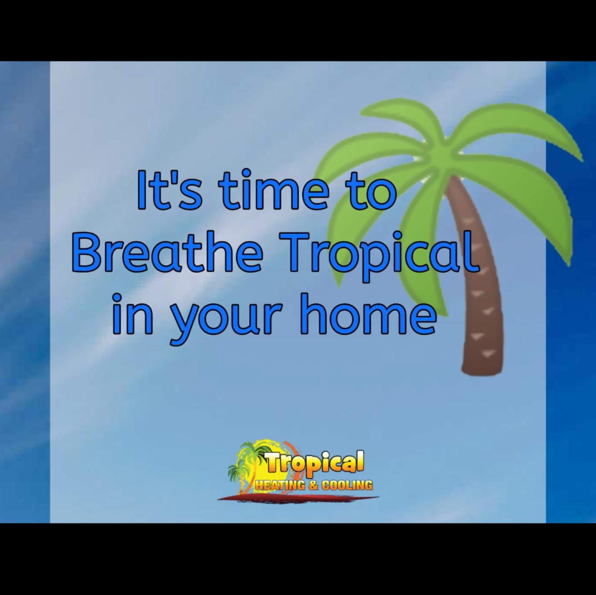 TropicalHeating's tweet photo. Are your allergies in full swing?
We can help, call us today!  🌴
(716)870-0753
#Homemaintenance #Cleanair #Cleanducts #cleanhome #airquality #freshair #indoorairquality #IAQ #ductwork #airductcleaning #tropicalheatingandcooling #tropical #tropicaltom #TropicalTeam #TrustTropical https://t.co/cTwyLbMQdH