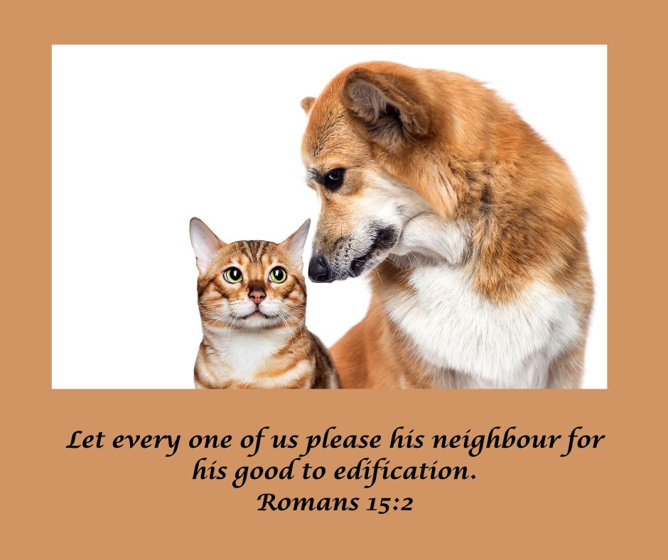 FirstChurchATL's tweet image. Wednesday Inspirational Words 📷📷📷
Happy Hump Day Beloved 📷📷📷
#DailyDevotional   #bibleverse   #humpwednesday #wednesdayinspiration #edification