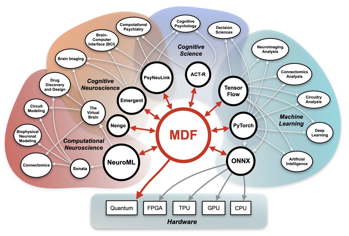 NeuroML's tweet image. New perspective paper on: Integrating model development across computational neuroscience, cognitive science, and machine learning: authors.elsevier.com/c/1gzra3BtfH5L…. Will lead to a deeper link between NeuroML and AI/ML models...