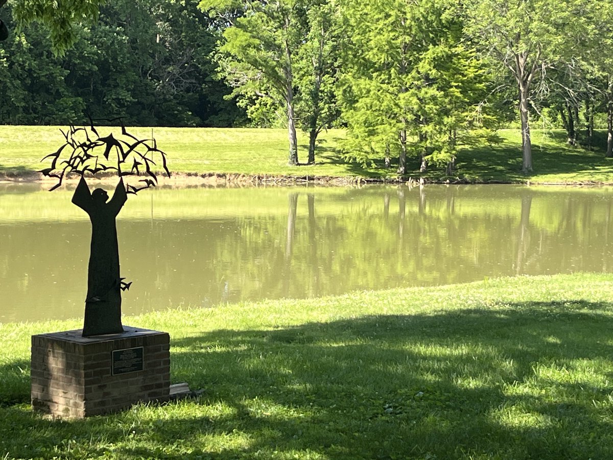 James Still tweet media