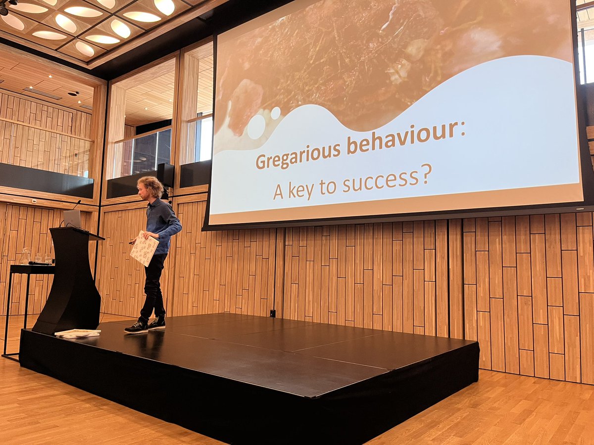 AafkeOldnbvng's tweet photo. Enjoying a keynote presentation by Antoine Flandroit @KNDV1872 Zoology 2023 invasive sea spiders at @Naturalis_Sci! https://t.co/kLfVrSHKcH