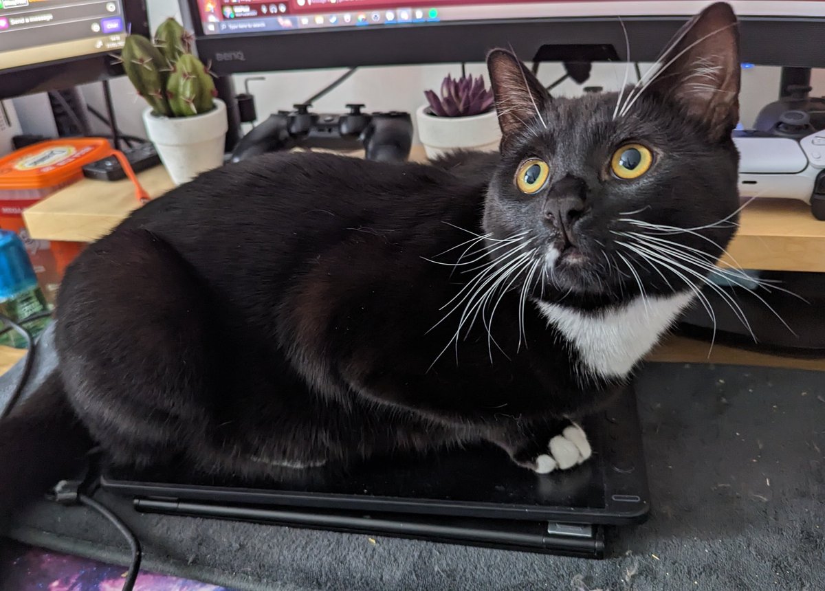 RikPixel 👾 tweet media