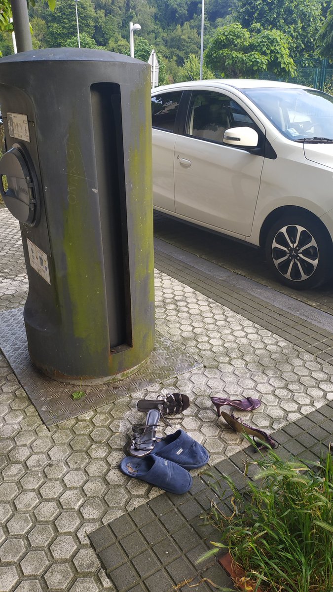 Erriberako mierdak tweet media