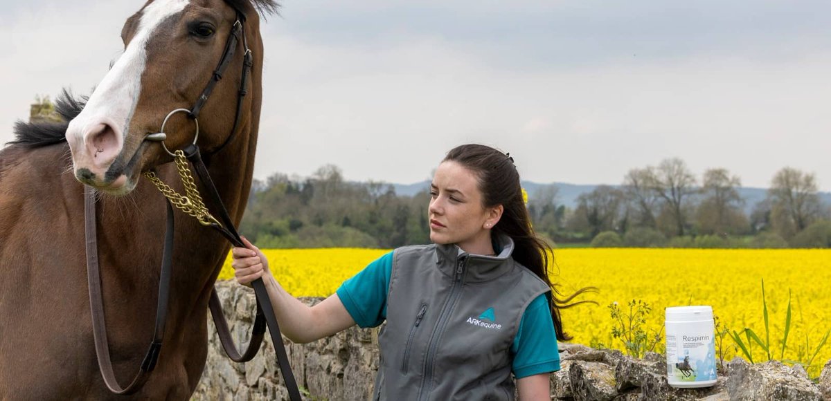 Our resident vet, Ian Rountree MVB discusses the controversy around rapeseed pollen and respiratory-related issues in horses. 

#RespiratoryHealth #EquineHealth #rapeseed #RapeseedOil #FieldsOfGold #ARKequine #SolutionsForSuccess

ark-equine.com/not-everything…