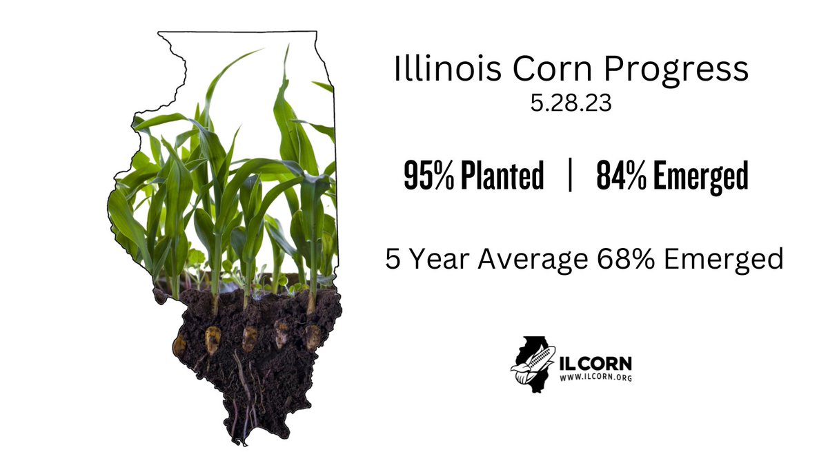 ilcorn's tweet image. &amp;gt; Statewide, the average temperature was 65.3 degrees, 0.1 degrees above normal.

&amp;gt; Topsoil moisture supply was rated 14 percent very short, 28 percent short, 54 percent adequate, and 4 percent surplus.

*stats provided by @usda_nass  #cropprogress #planting23 #illinois #ilfarmer