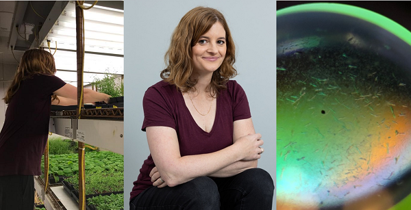 In our new TPJ Feature, <a href="/HaimTreves/">Haim Treves</a> interviews Dr. Lior Tal. They discuss the challenges of setting up a new lab, Lior's must-read recommendations, and of course, what it's like living in the nonstop city of Tel-Aviv
🔗onlinelibrary.wiley.com/do/10.1111/tpj…
@wileyplantsci <a href="/SEBiology/">SEB @sebiology.bsky.social</a> <a href="/LiorTal4/">Lior Tal</a>