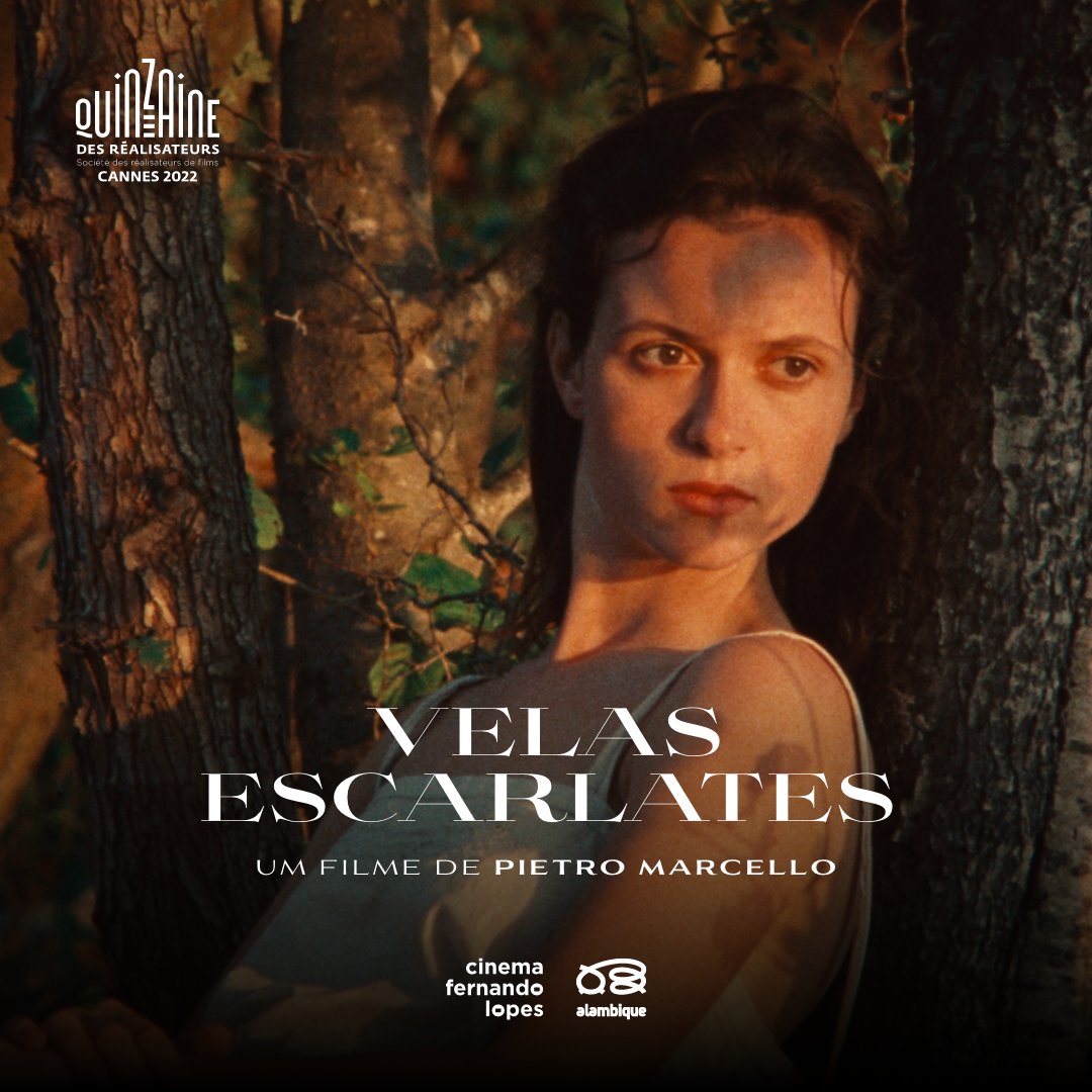 Cinema Fernando Lopes tweet media