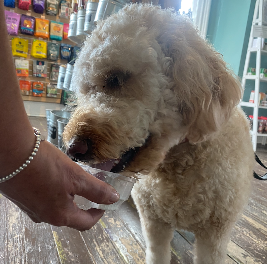 CrossRdsCampus's tweet photo. Crossroads Pets has FREE pup cups in our store at 707 Monroe Street in Nashville on Wednesdays.
We also offer walk-in nail trims from $12 - $15. Stop by today. We’re open until 6:00.
#pupcup #free #happypets #healthypets #dogsofnashville #cat #cats #615 #nashville #dog #dogs https://t.co/E947GCEVbg