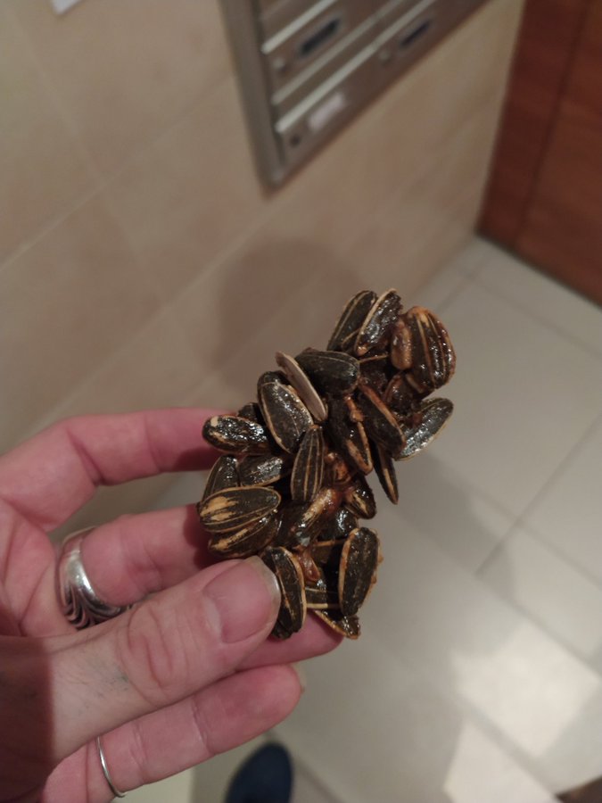 mejor sensación que te toque esto en la bolsa de pipas???