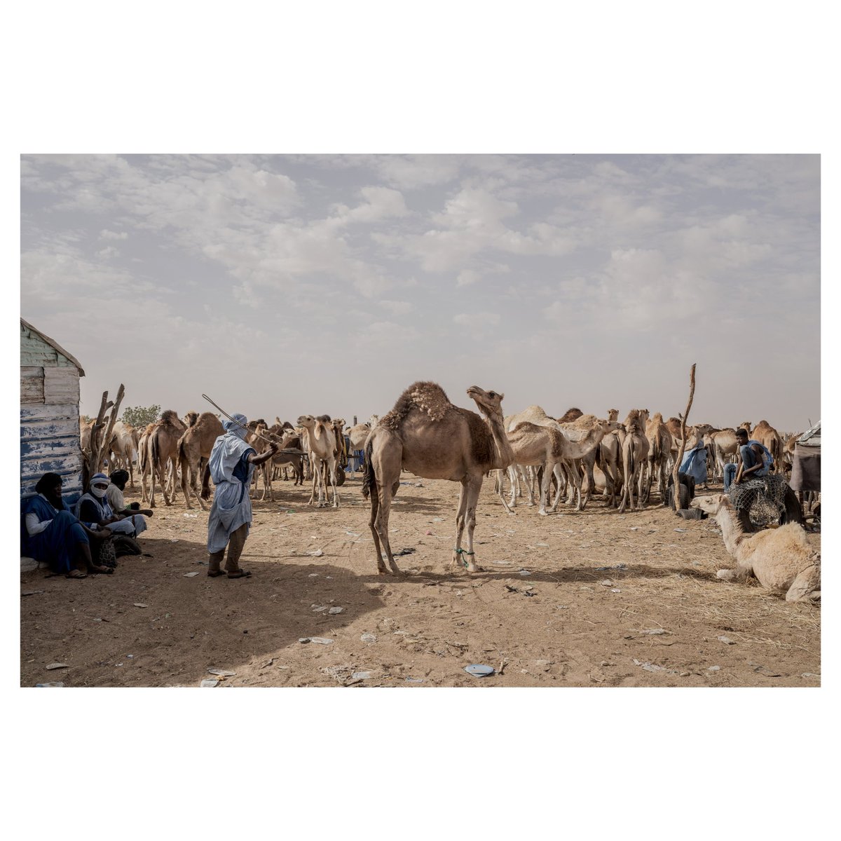 Annika Hammerschlag tweet media