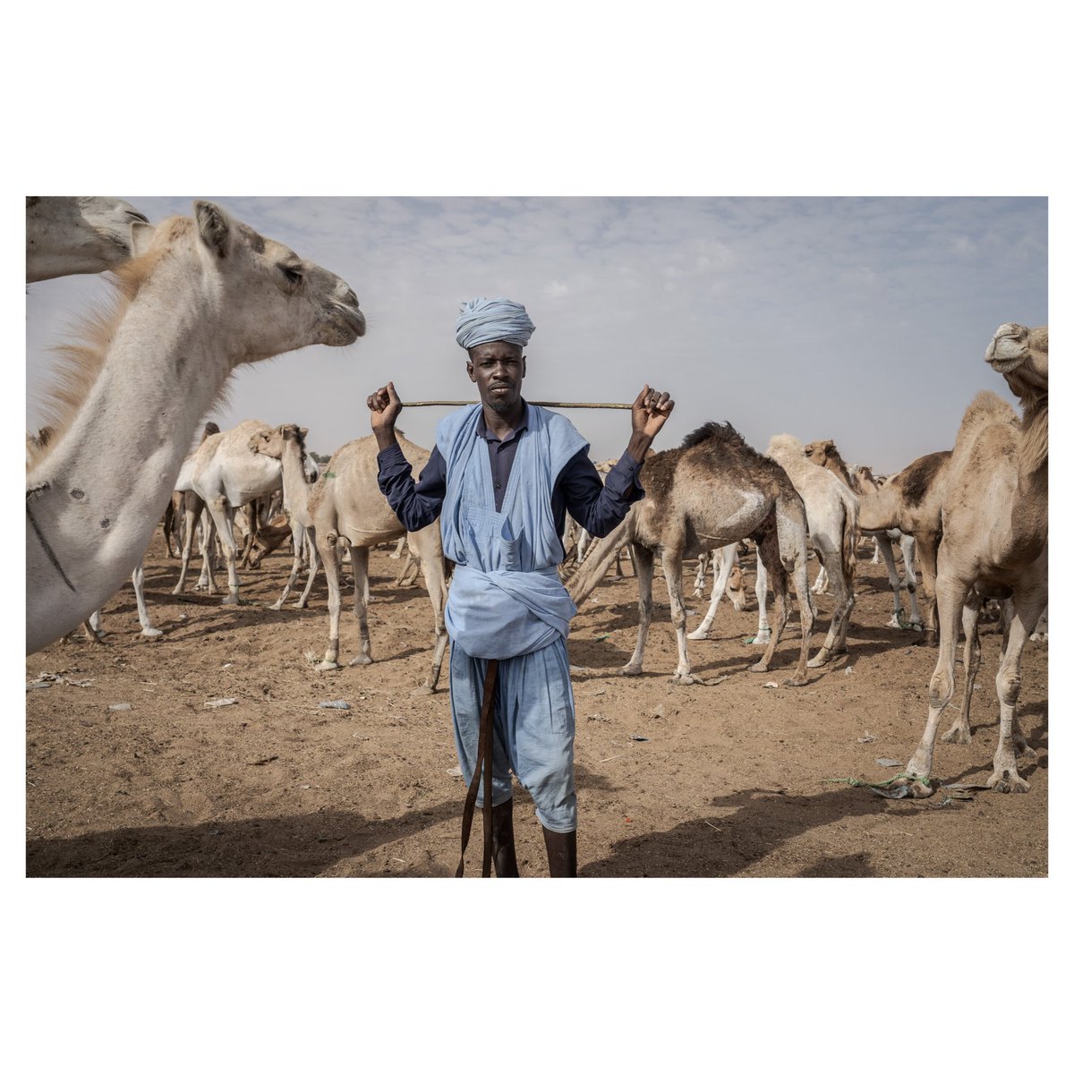 Annika Hammerschlag tweet media