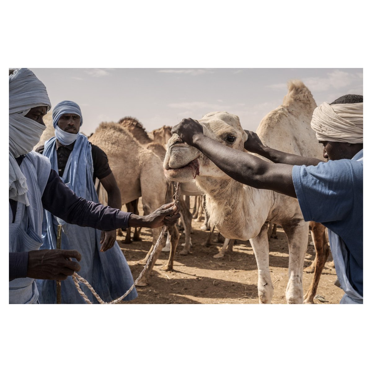 Annika Hammerschlag tweet media