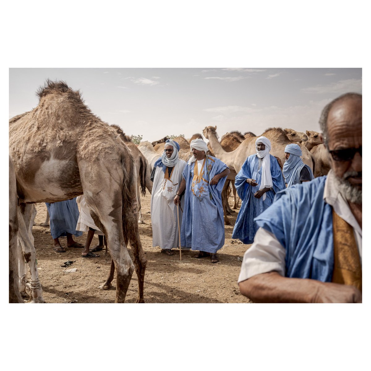 Annika Hammerschlag tweet media