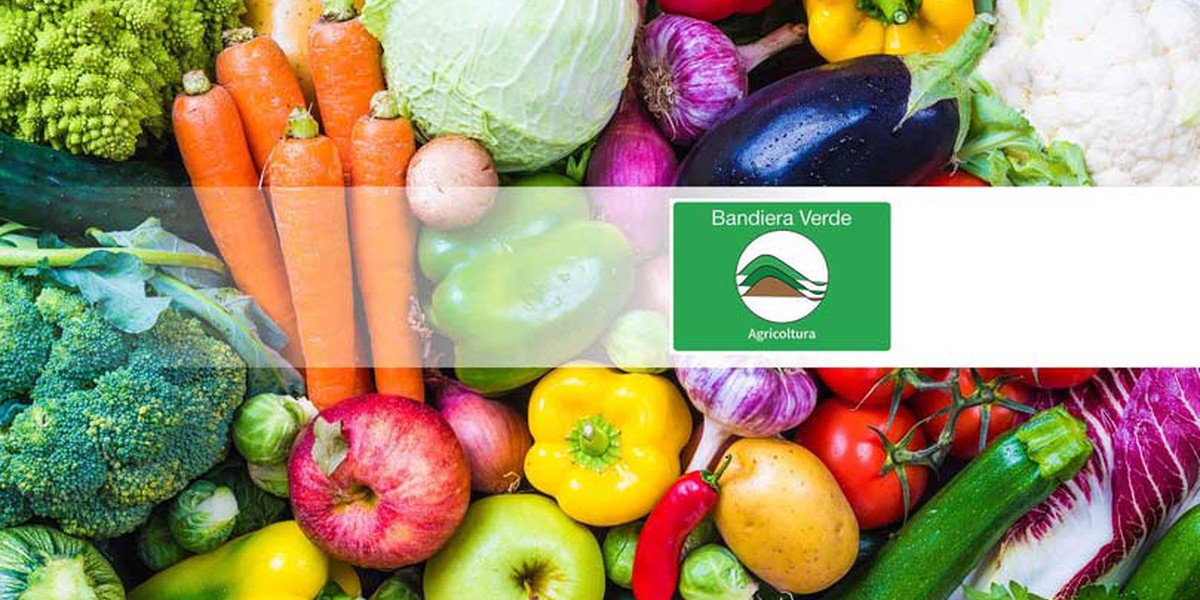 C'è ancora un mese per partecipare al #Premio #BandieraVerde di #Cia‼️    
Più tempo ad #aziende agricole, #comuni ed enti per presentare la propria #candidatura con la proroga fino al 30 giugno 👨‍🌾🔝🍃
Leggi tutto ➡️bit.ly/3WFQmV4