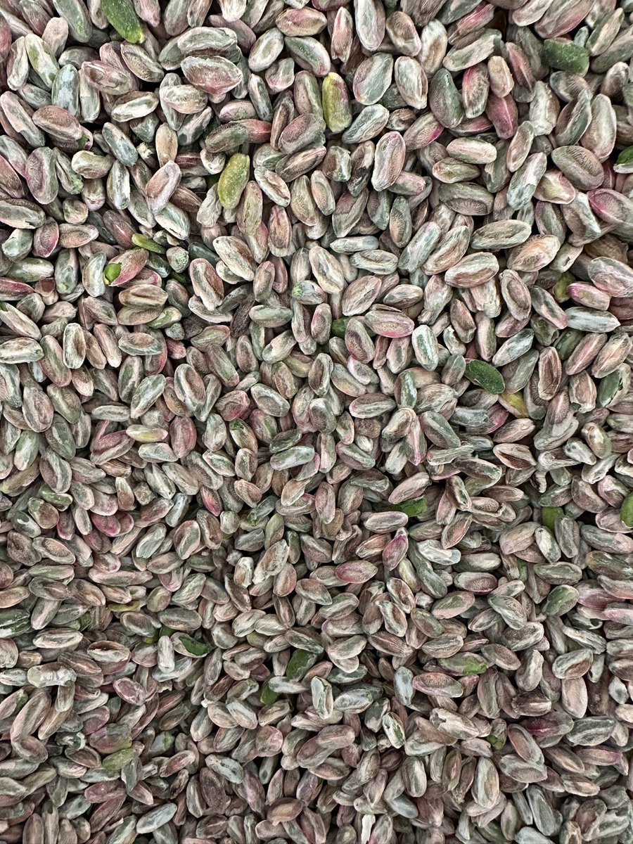 #antepfıstığı Fiyatları 

Eski  kırmızı 185-198
Yeni kırmızı 175-185
kırmızı kavlak 200-220
boz kavlak 205-225
tuzlu fıstık 240-300
Boz iç 500-560
neverdi iç 460-495
kırmızı iç 390-430
siirt fıstığı 190-225

Arasında seyretmekte

#gaziantep #şanlıurfa #adıyaman #siirt