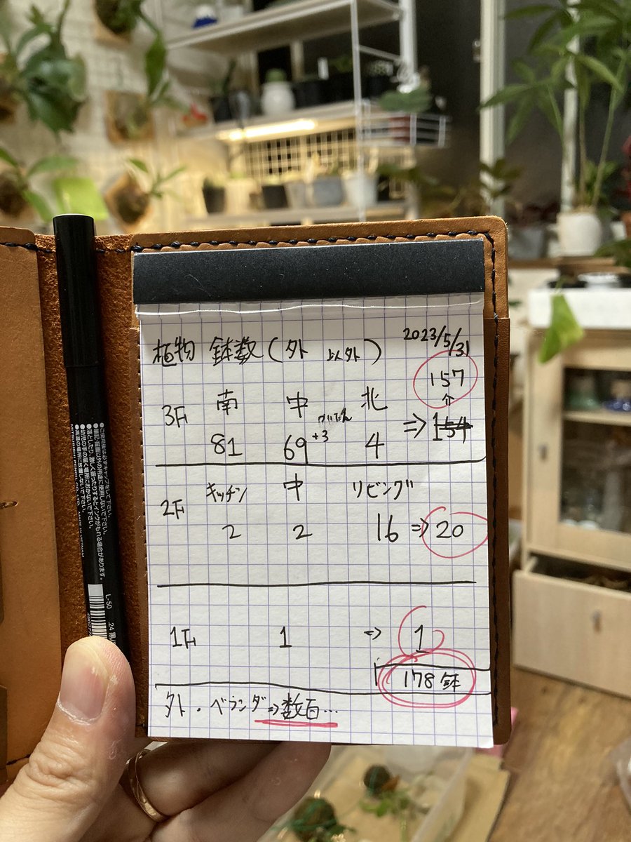KohNish's tweet photo. 思い立って家の中の植物(鉢数)数えた

「まだ許容範囲」と思った矢先

『外に数百！』

 #観葉植物　#植中毒　#植欲
#趣味に��きる https://t.co/kJORsh0O2b