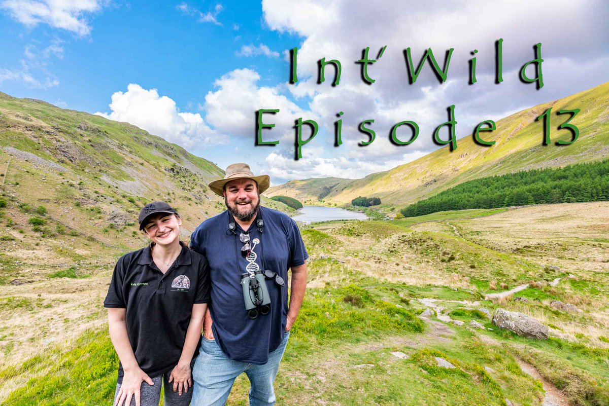 Intwild1's tweet photo. Hi everyone! We've been a bit rubbish on here lately, but we have new episodes, we will be dropping these over the next few days! 

https://t.co/9iYCorBq25

#vlog #wildlife #nature #haweswater https://t.co/tlycTug99q