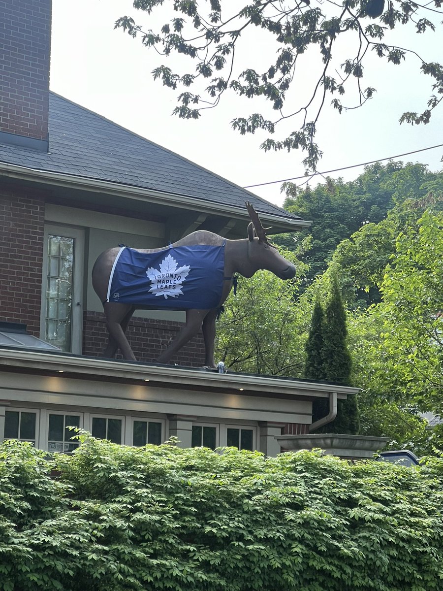 KevinGausman's tweet photo. What’s the most Canadian thing you’ve seen today? I’ll start ……… &amp; yes that is a fake Moose on top of someone’s house with a Toronto Maple Leafs flag across it 😂😂😂 https://t.co/rSzyXY4bpk