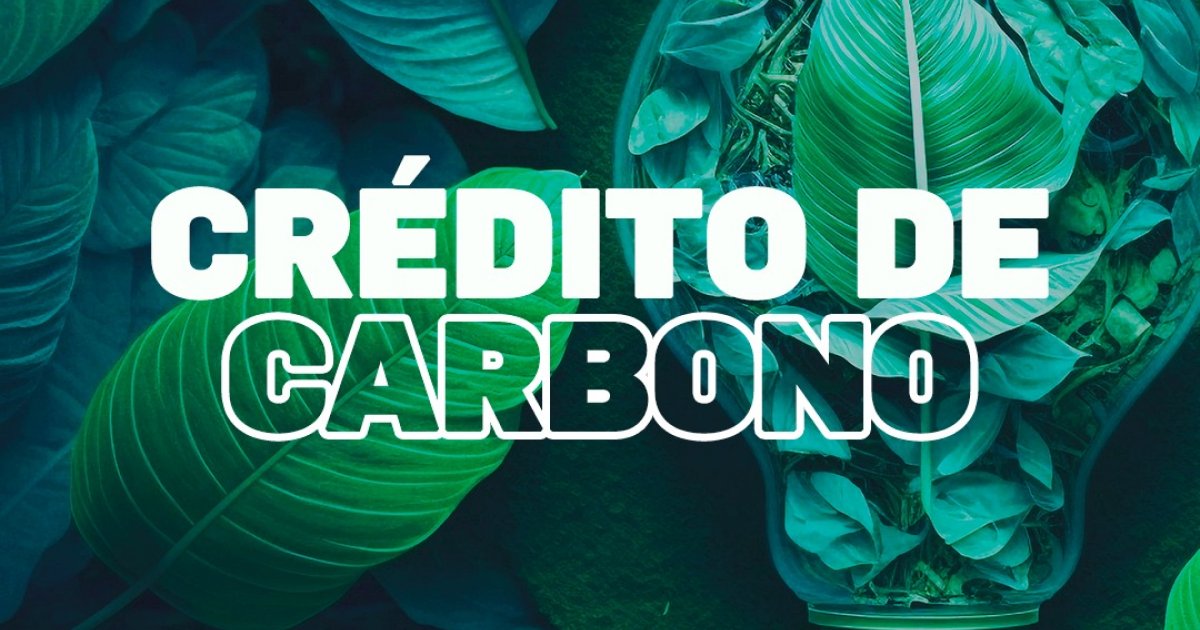 bitfyapp's tweet image. Descubra como a tecnologia #blockchain está revolucionando o mercado de crédito de #carbono, trazendo benefícios para empresas e investidores!

Leia nosso novo artigo para saber mais: bitfy.app/tokenizacao-de…