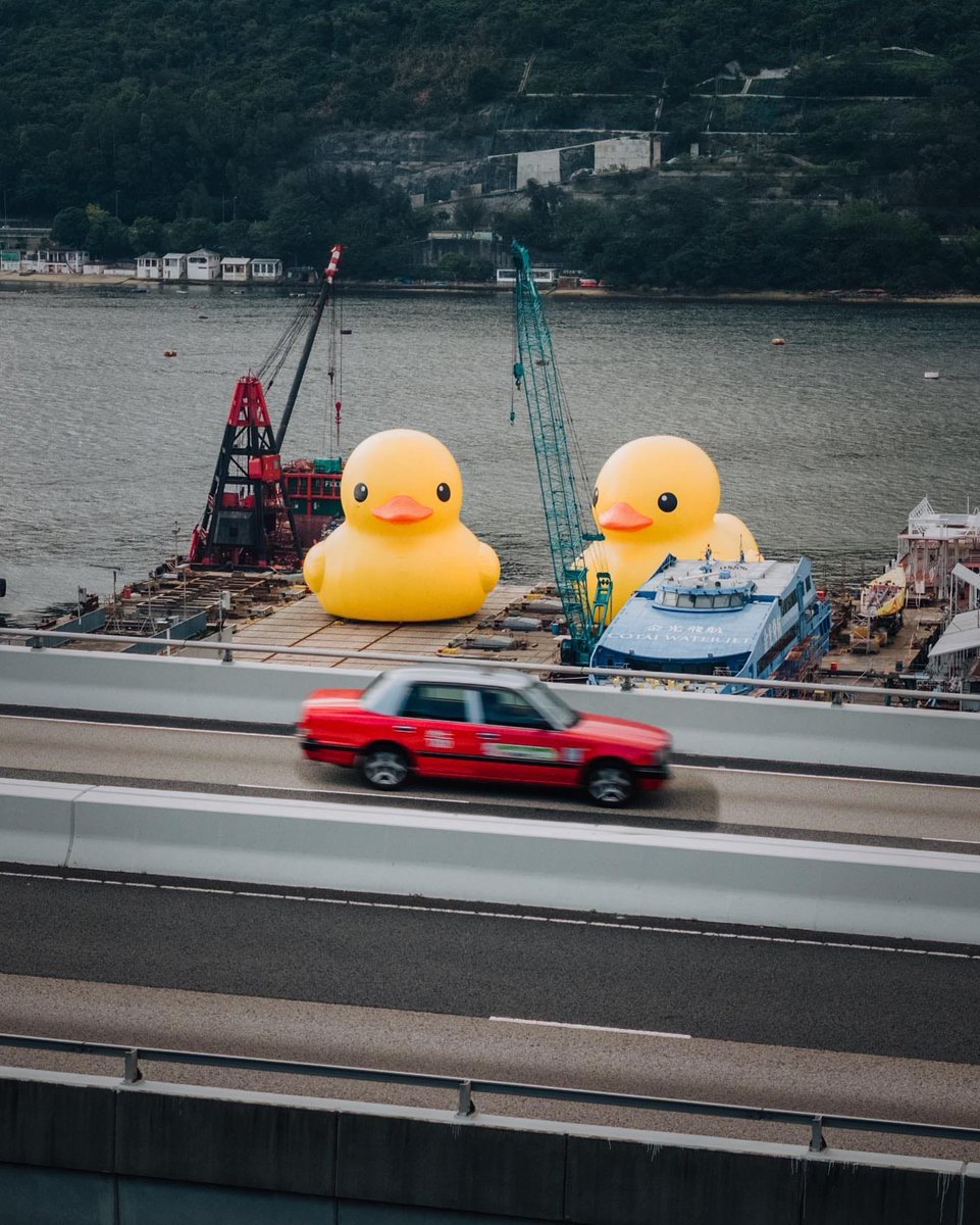DDT_Store's tweet photo. Hong Kong Signature -- DOUBLE DUCKS & Taxi
Stay tuned for tomorrow's Official Announcement on “DOUBLE DUCKS” exhibition & DDT Store’s exclusive collection: https://t.co/ocst4Q7RMN
#AllRightsReserved #FlorentijnHofman #DoubleDucks #DDTStore
📷: #jsrpixel https://t.co/ENXyvNWvuq