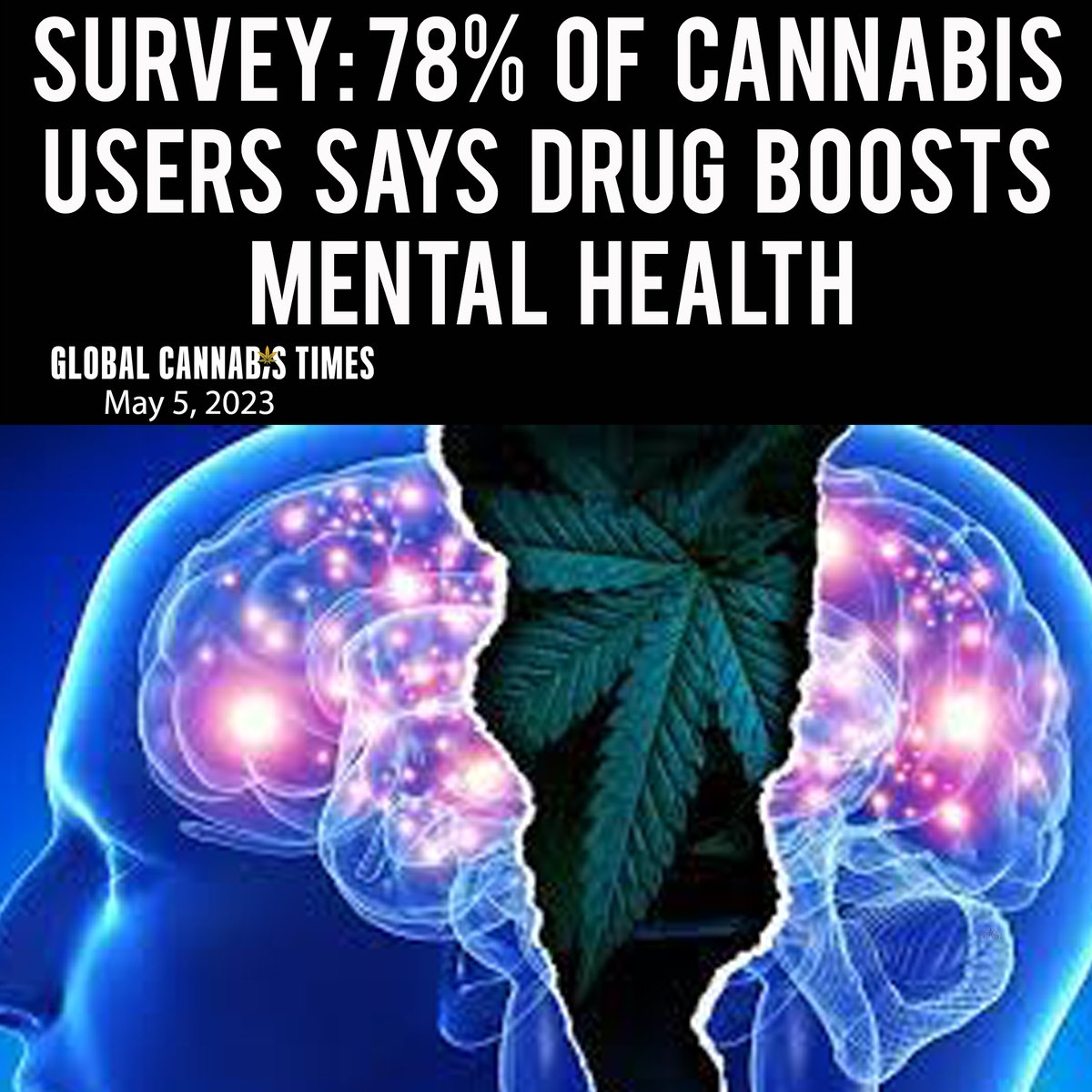 NEWS You Might Have Missed 

@cannabiscommunitycollege  
@goodweedco @thecannabiscutie @the_lodge_cannabis #cannabiscommunity #420 #mmj #cannabiseducation #cannabislife #weedlife #usamentalhealth #mentalhealthawareness #mentalhealth #mentalhealthsupport #mentalhealthsupport