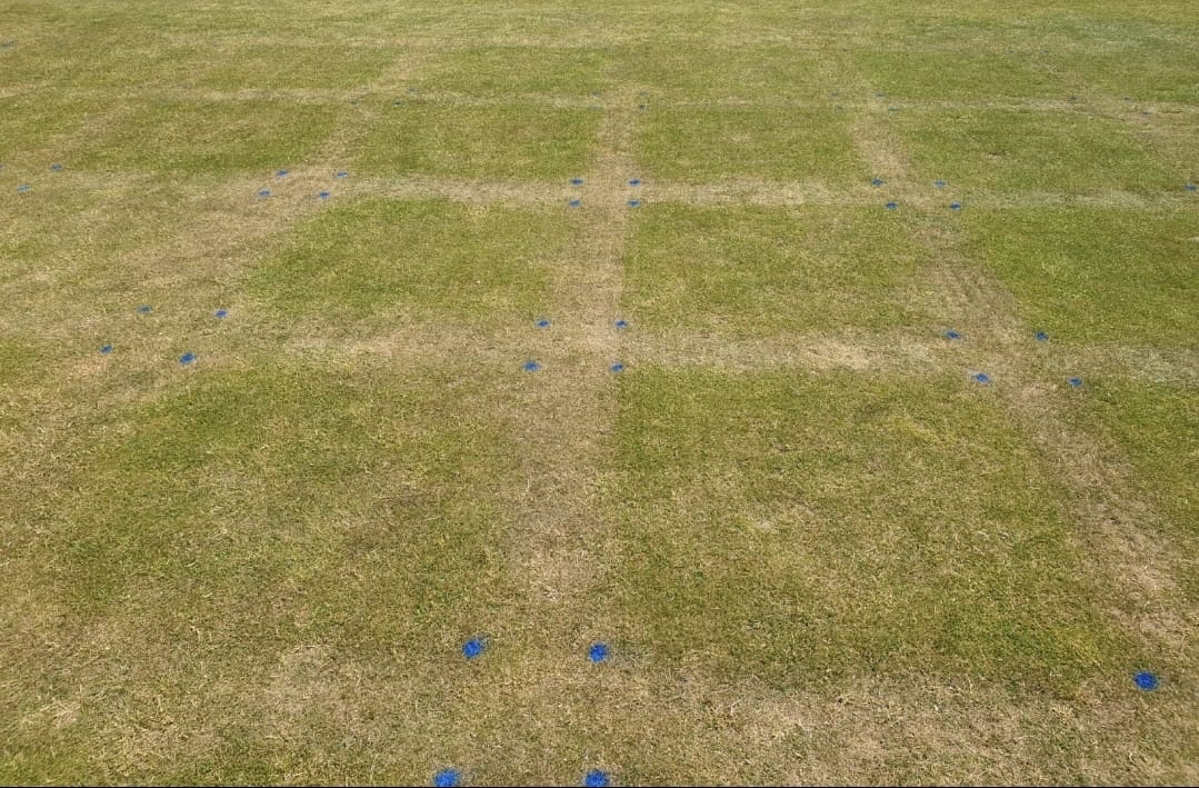 ICL_Turf's tweet photo. The current dry weather is producing some nice turf responses for our ongoing wetting agent trials!
Really highlights the importance of moisture management and the benefits high quality surfactants can bring.
#H2Pro #productsthatperform https://t.co/rLvEmp6euQ