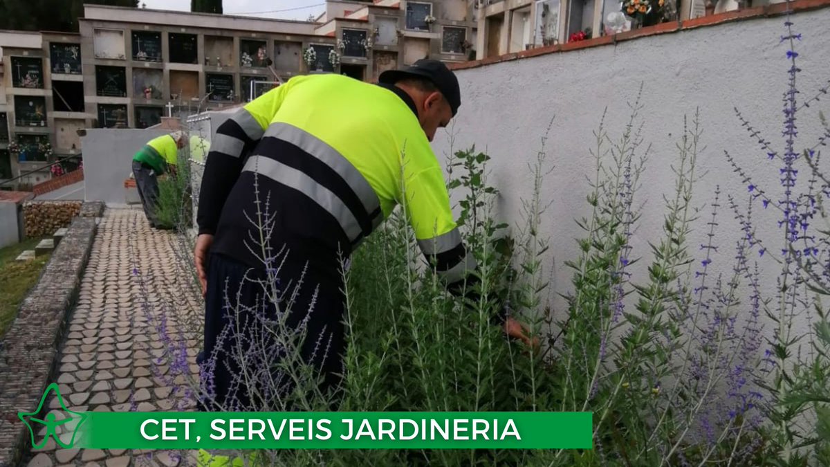 helixvivelloc's tweet photo. 👌 L'equip de treballadores d' @helixvivelloc de #Granollers han treballat de valent aquests darrers dies en tota la zona enjardinada del Cementiri.

✨ Avui, Acte Memorial i d'Homenatge a les víctimes del 31 de maig.

@Vivelloc
#professionalitat #qualitat 
#implicacio #motivacio https://t.co/gjTsJDvv9s