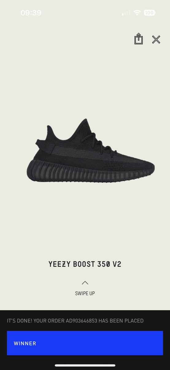 ollie𝕏  tweet media