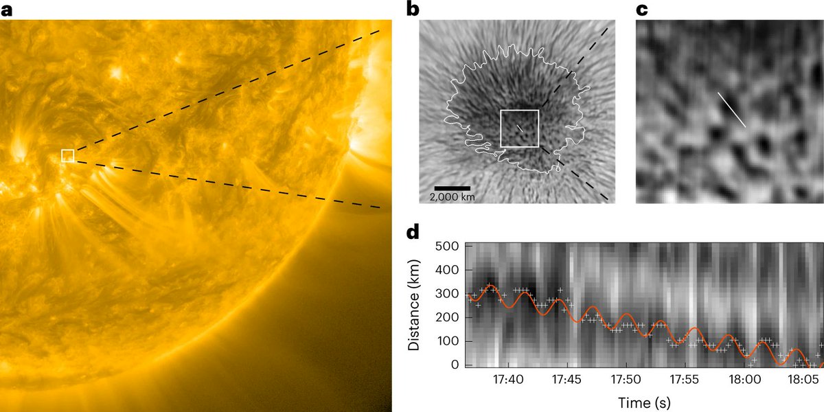 If you are curious to know what happens in a strongly magnetized sunspot, read this article.

An interesting story of energy transfer and flux in a sunspot from the sub-photosphere to the upper atmosphere of our #Sun.

#Science
#Space 
@NatureAstronomy 

⏯️nature.com/articles/s4155…