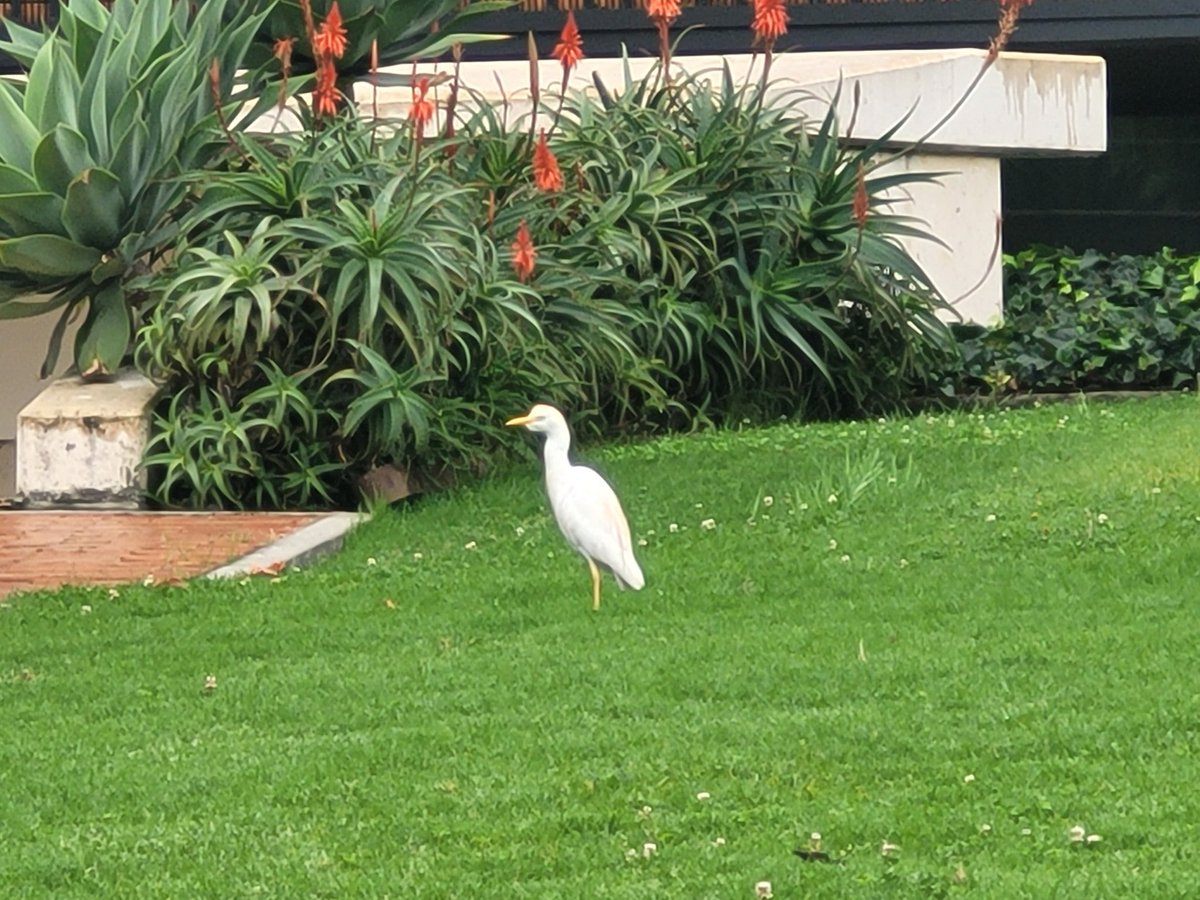 Camino a clase en la <a href="/unisabana/">Universidad de La Sabana</a>