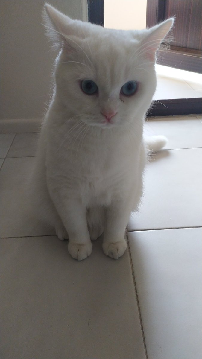 baharkrn's tweet photo. Artık sende çalışcan mecbur kusura bakma https://t.co/FywAmPk5ph